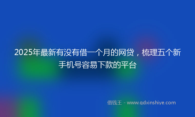 2025年最新有没有借一个月的网贷，梳理五个新手机号容易下款的平台
