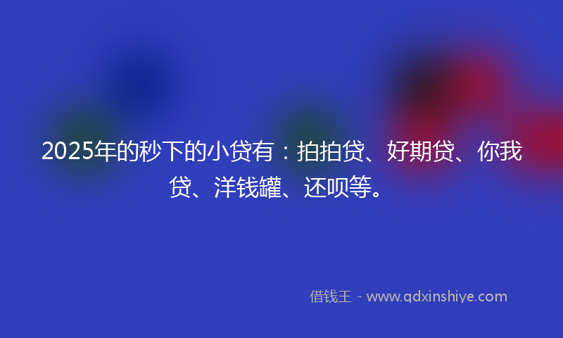 2025年的秒下的小贷有：拍拍贷、好期贷、你我贷、洋钱罐、还呗等。