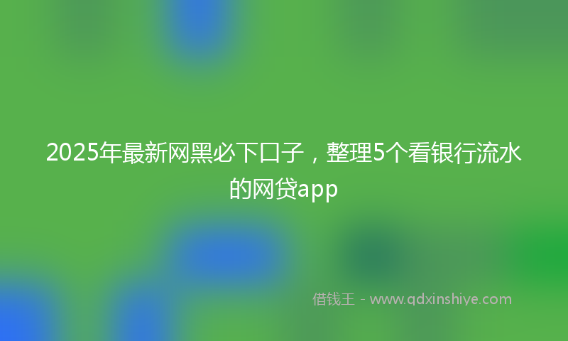 2025年最新网黑必下口子，整理5个看银行流水的网贷app