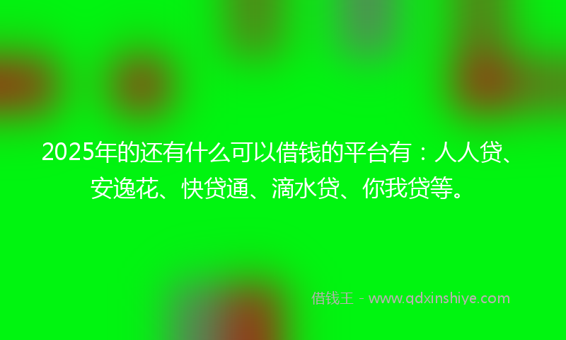 2025年的还有什么可以借钱的平台有：人人贷、安逸花、快贷通、滴水贷、你我贷等。
