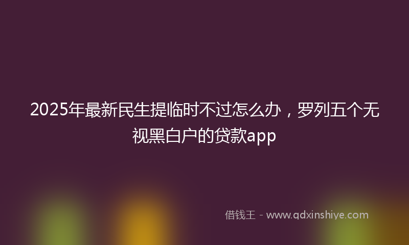 2025年最新民生提临时不过怎么办，罗列五个无视黑白户的贷款app