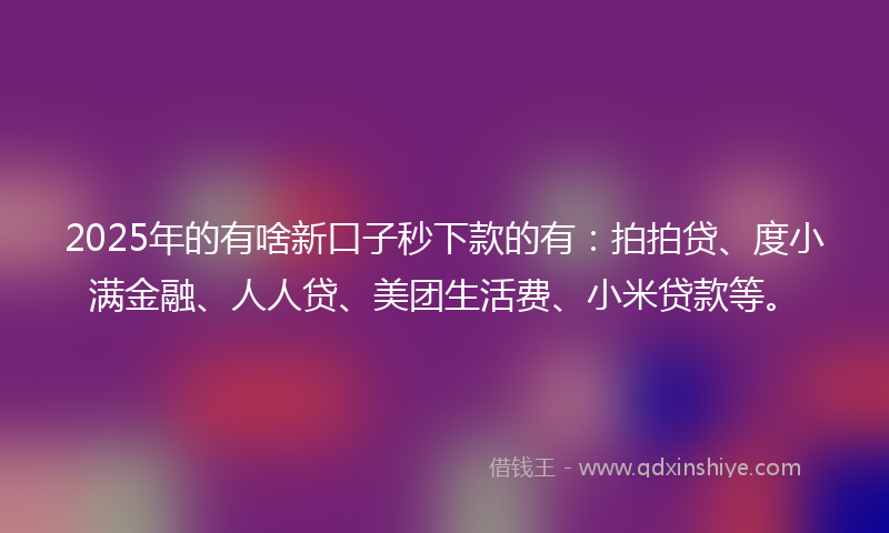 2025年的有啥新口子秒下款的有：拍拍贷、度小满金融、人人贷、美团生活费、小米贷款等。