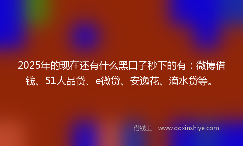 2025年的现在还有什么黑口子秒下的有：微博借钱、51人品贷、e微贷、安逸花、滴水贷等。