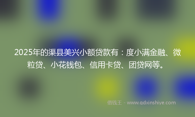 2025年的渠县美兴小额贷款有：度小满金融、微粒贷、小花钱包、信用卡贷、团贷网等。