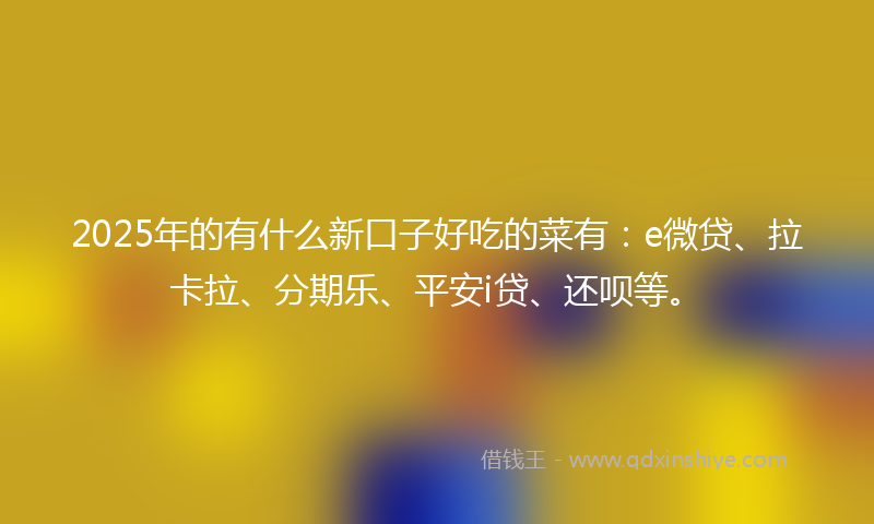 2025年的有什么新口子好吃的菜有：e微贷、拉卡拉、分期乐、平安i贷、还呗等。
