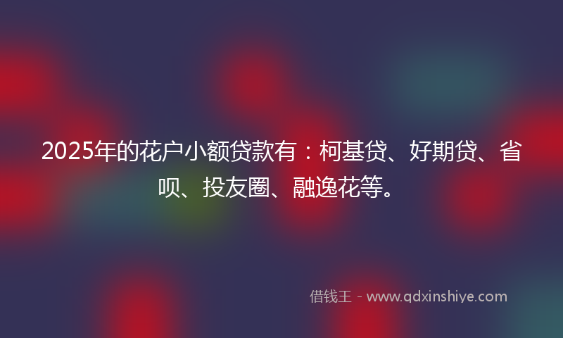 2025年的花户小额贷款有：柯基贷、好期贷、省呗、投友圈、融逸花等。