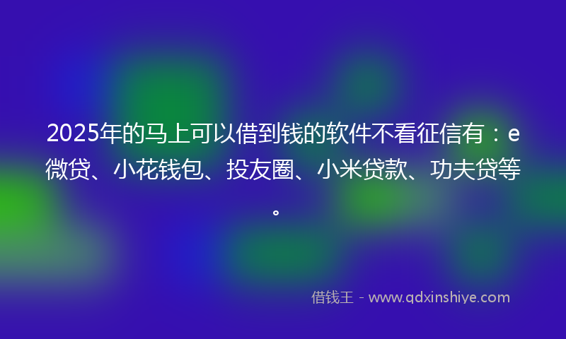 2025年的马上可以借到钱的软件不看征信有：e微贷、小花钱包、投友圈、小米贷款、功夫贷等。
