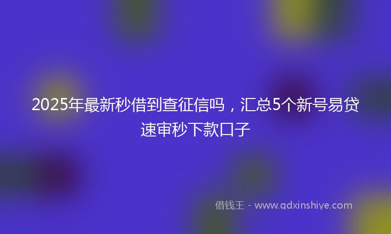 2025年最新秒借到查征信吗，汇总5个新号易贷速审秒下款口子