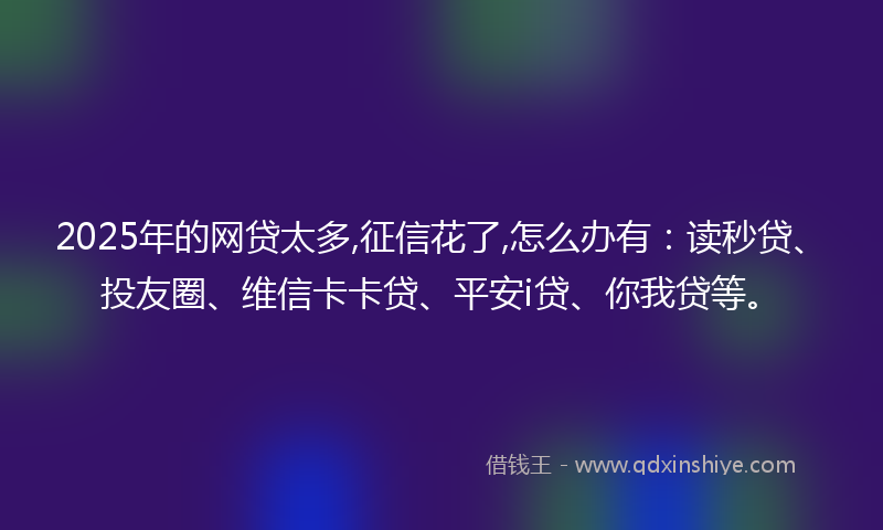 2025年的网贷太多,征信花了,怎么办有：读秒贷、投友圈、维信卡卡贷、平安i贷、你我贷等。