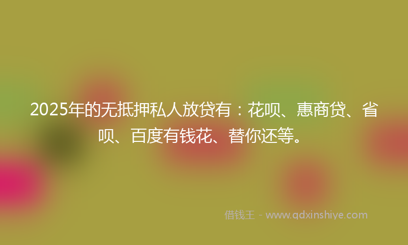 2025年的无抵押私人放贷有：花呗、惠商贷、省呗、百度有钱花、替你还等。