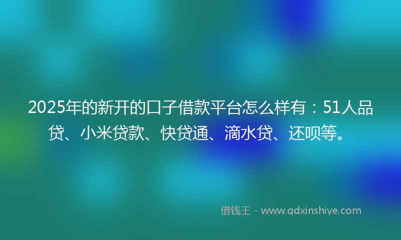 2025年的新开的口子借款平台怎么样有：51人品贷、小米贷款、快贷通、滴水贷、还呗等。