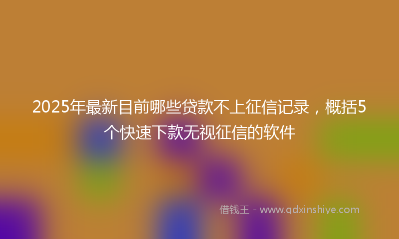 2025年最新目前哪些贷款不上征信记录，概括5个快速下款无视征信的软件