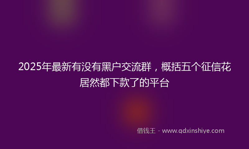 2025年最新有没有黑户交流群，概括五个征信花居然都下款了的平台