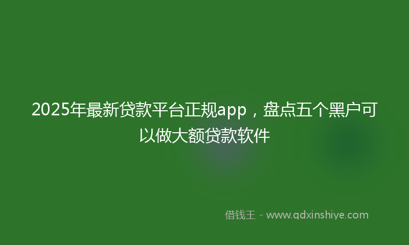 2025年最新贷款平台正规app，盘点五个黑户可以做大额贷款软件