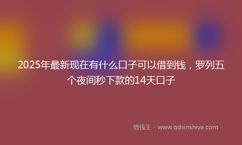 2025年最新现在有什么口子可以借到钱，罗列五个夜间秒下款的14天口子