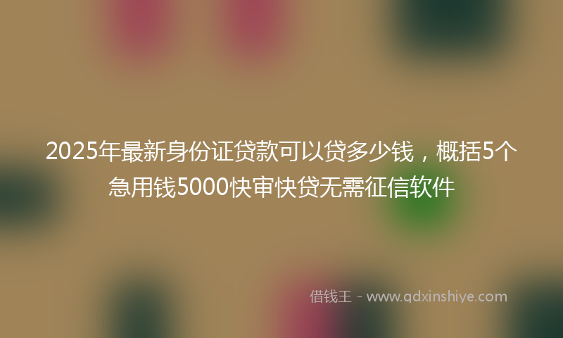 2025年最新身份证贷款可以贷多少钱，概括5个急用钱5000快审快贷无需征信软件