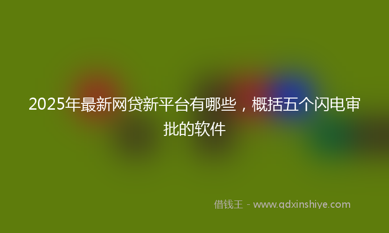 2025年最新网贷新平台有哪些，概括五个闪电审批的软件