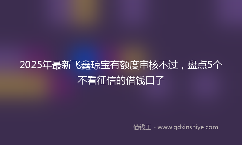 2025年最新飞鑫琼宝有额度审核不过，盘点5个不看征信的借钱口子