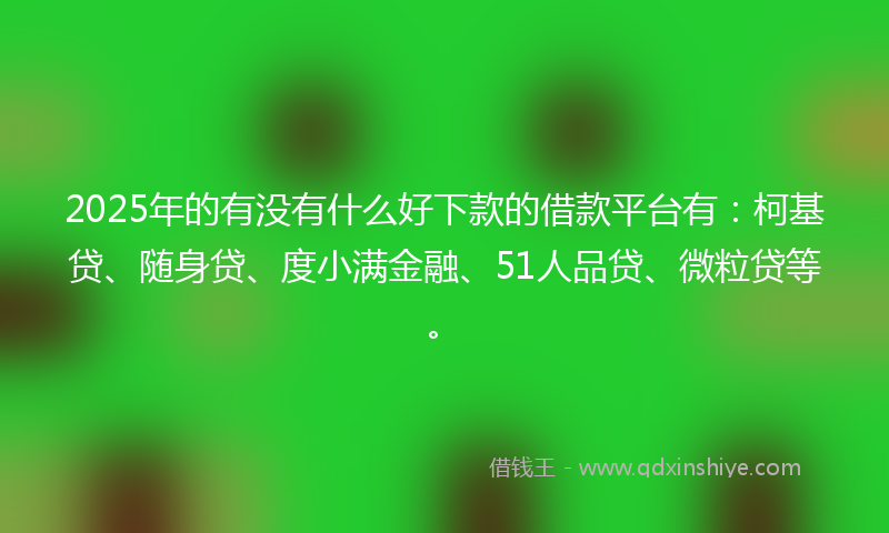 2025年的有没有什么好下款的借款平台有：柯基贷、随身贷、度小满金融、51人品贷、微粒贷等。