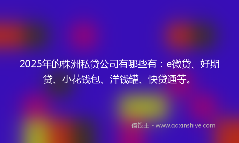 2025年的株洲私贷公司有哪些有：e微贷、好期贷、小花钱包、洋钱罐、快贷通等。