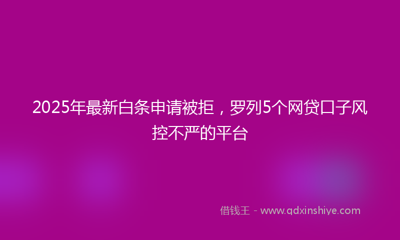 2025年最新白条申请被拒，罗列5个网贷口子风控不严的平台