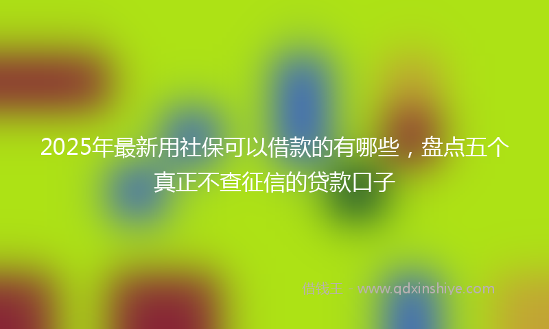 2025年最新用社保可以借款的有哪些，盘点五个真正不查征信的贷款口子