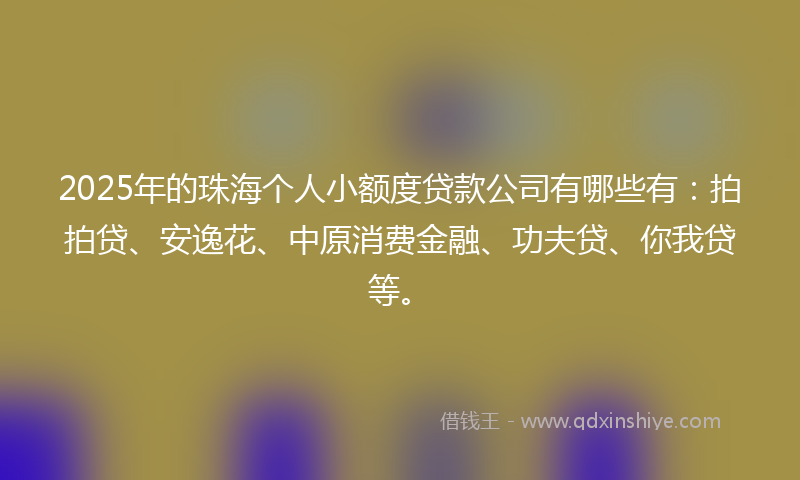 2025年的珠海个人小额度贷款公司有哪些有：拍拍贷、安逸花、中原消费金融、功夫贷、你我贷等。