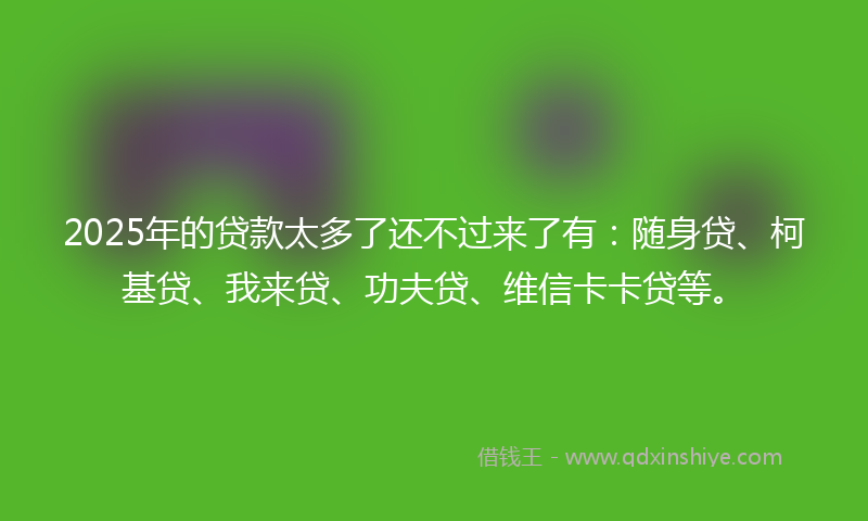 2025年的贷款太多了还不过来了有：随身贷、柯基贷、我来贷、功夫贷、维信卡卡贷等。