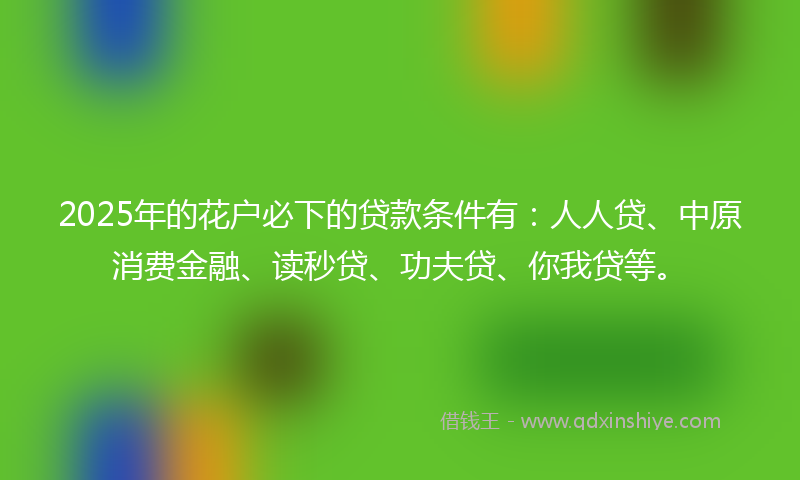 2025年的花户必下的贷款条件有：人人贷、中原消费金融、读秒贷、功夫贷、你我贷等。
