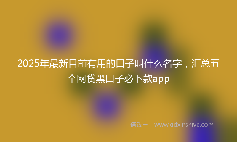 2025年最新目前有用的口子叫什么名字，汇总五个网贷黑口子必下款app