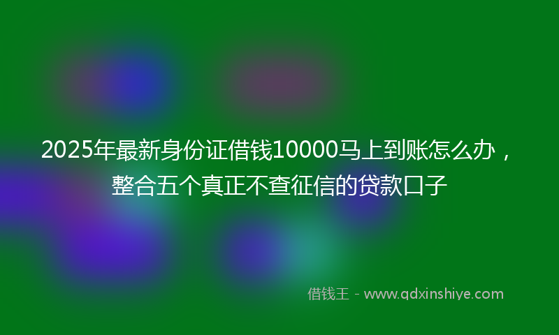 2025年最新身份证借钱10000马上到账怎么办，整合五个真正不查征信的贷款口子