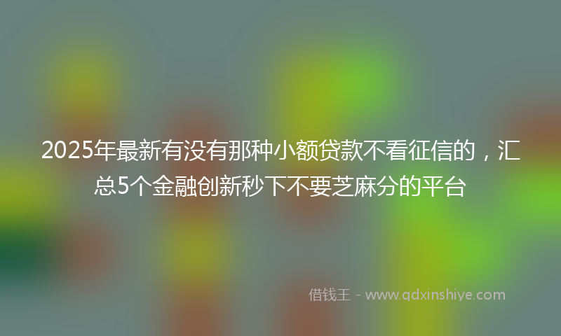 2025年最新有没有那种小额贷款不看征信的，汇总5个金融创新秒下不要芝麻分的平台