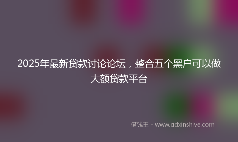 2025年最新贷款讨论论坛，整合五个黑户可以做大额贷款平台