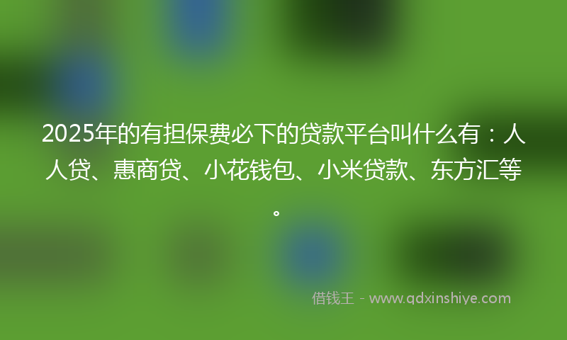 2025年的有担保费必下的贷款平台叫什么有：人人贷、惠商贷、小花钱包、小米贷款、东方汇等。