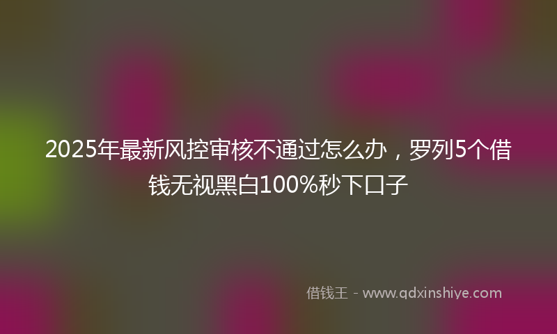 2025年最新风控审核不通过怎么办，罗列5个借钱无视黑白100%秒下口子