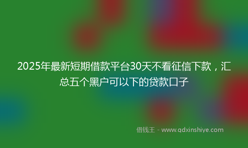 2025年最新短期借款平台30天不看征信下款，汇总五个黑户可以下的贷款口子