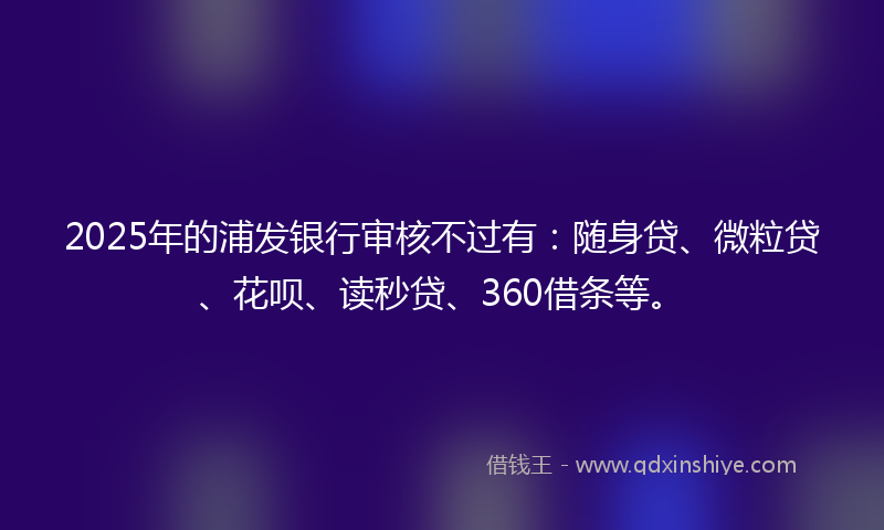 2025年的浦发银行审核不过有：随身贷、微粒贷、花呗、读秒贷、360借条等。
