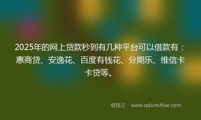 2025年的网上贷款秒到有几种平台可以借款有：惠商贷、安逸花、百度有钱花、分期乐、维信卡卡贷等。