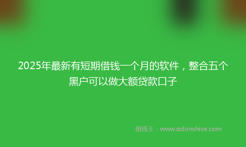 2025年最新有短期借钱一个月的软件，整合五个黑户可以做大额贷款口子