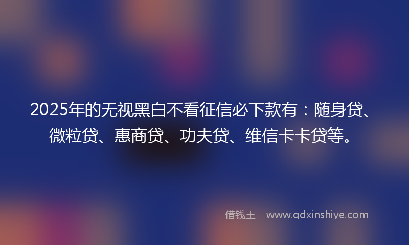 2025年的无视黑白不看征信必下款有：随身贷、微粒贷、惠商贷、功夫贷、维信卡卡贷等。