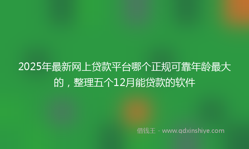 2025年最新网上贷款平台哪个正规可靠年龄最大的，整理五个12月能贷款的软件