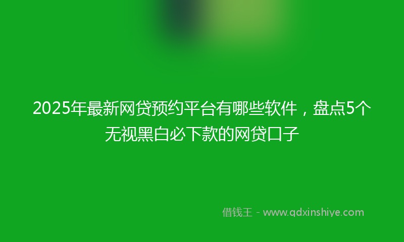 2025年最新网贷预约平台有哪些软件，盘点5个无视黑白必下款的网贷口子