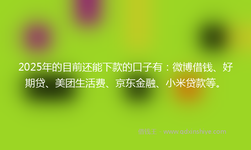 2025年的目前还能下款的口子有：微博借钱、好期贷、美团生活费、京东金融、小米贷款等。