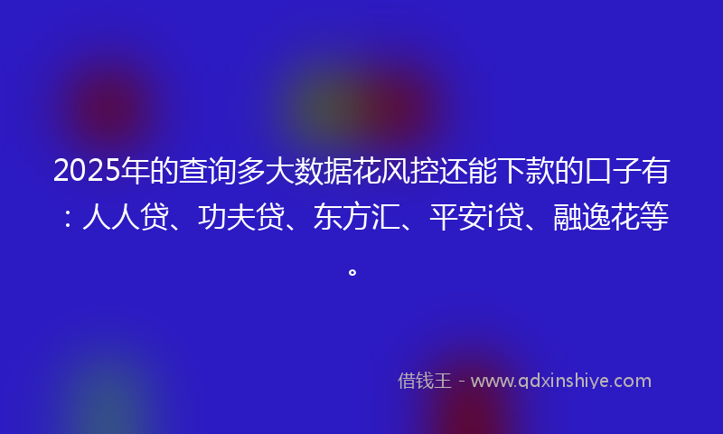 2025年的查询多大数据花风控还能下款的口子有：人人贷、功夫贷、东方汇、平安i贷、融逸花等。