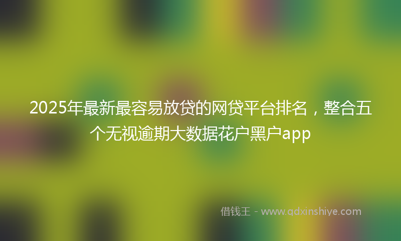 2025年最新最容易放贷的网贷平台排名，整合五个无视逾期大数据花户黑户app
