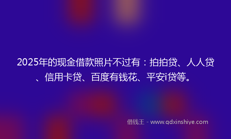 2025年的现金借款照片不过有：拍拍贷、人人贷、信用卡贷、百度有钱花、平安i贷等。