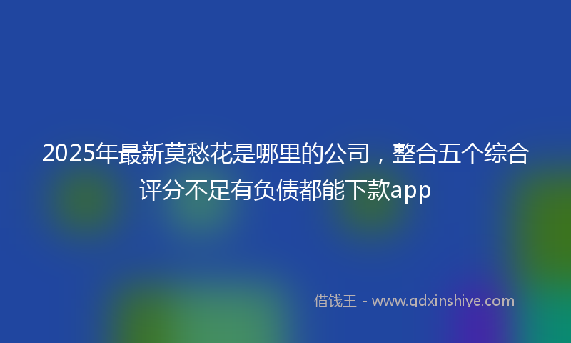 2025年最新莫愁花是哪里的公司，整合五个综合评分不足有负债都能下款app