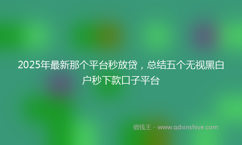 2025年最新那个平台秒放贷，总结五个无视黑白户秒下款口子平台