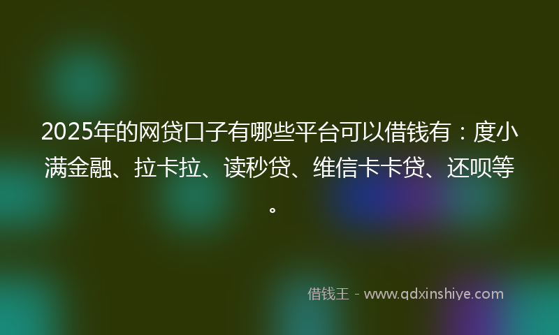 2025年的网贷口子有哪些平台可以借钱有：度小满金融、拉卡拉、读秒贷、维信卡卡贷、还呗等。