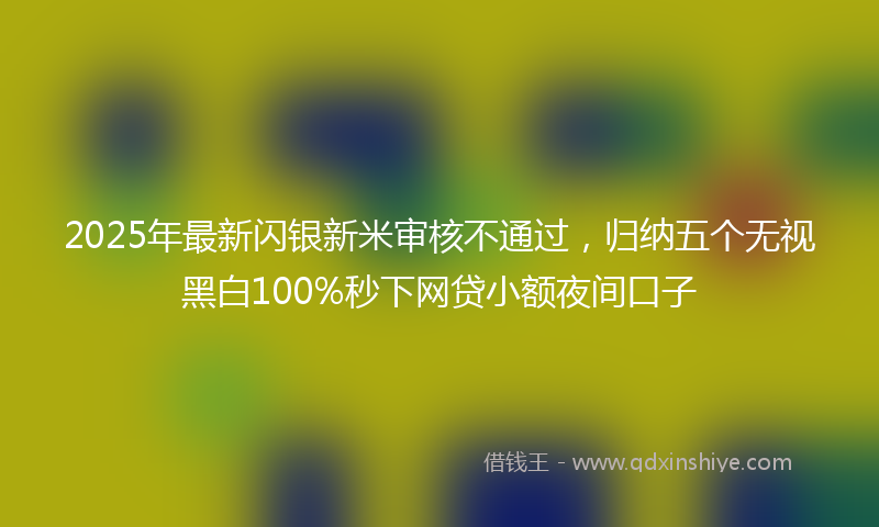 2025年最新闪银新米审核不通过，归纳五个无视黑白100%秒下网贷小额夜间口子